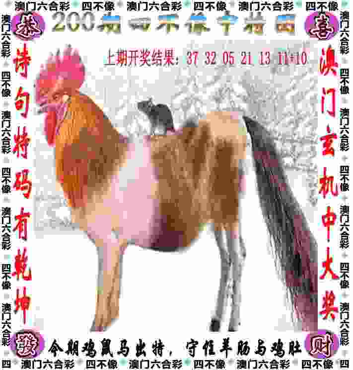 7777788888香港马app下载大全-管家婆一特一中2023官方下载v2   .27   .384   -2278安卓网